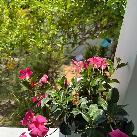 Lägenhet Eliza Art *