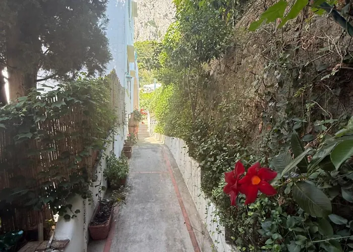 Apartament Eliza Art *