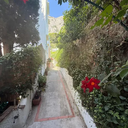 Apartman Eliza Art *