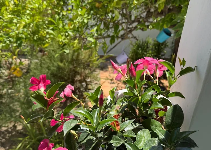 דירה Eliza Art *